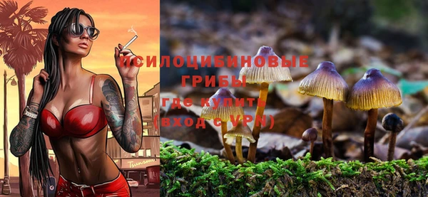 герыч Алзамай