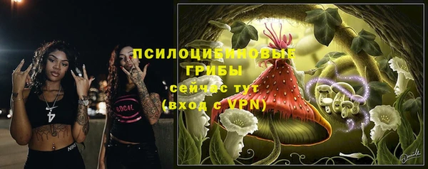 герыч Алзамай